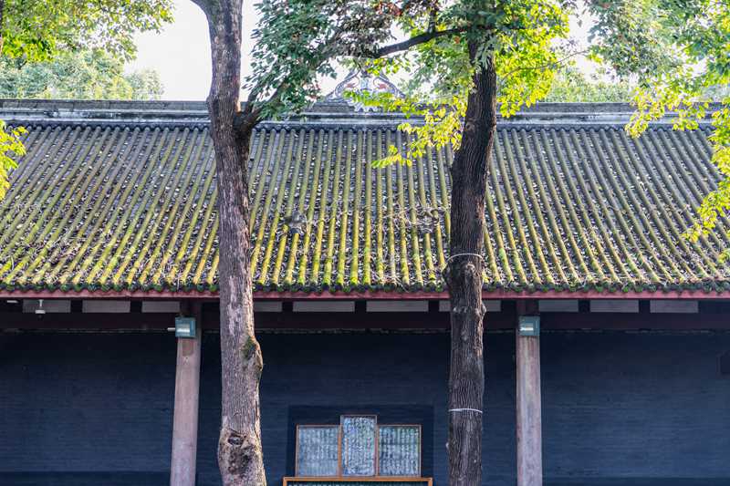 成都，别只去宽窄巷子！这5个地方藏着真正的安逸-第3张图片-四川省中国青年旅行社